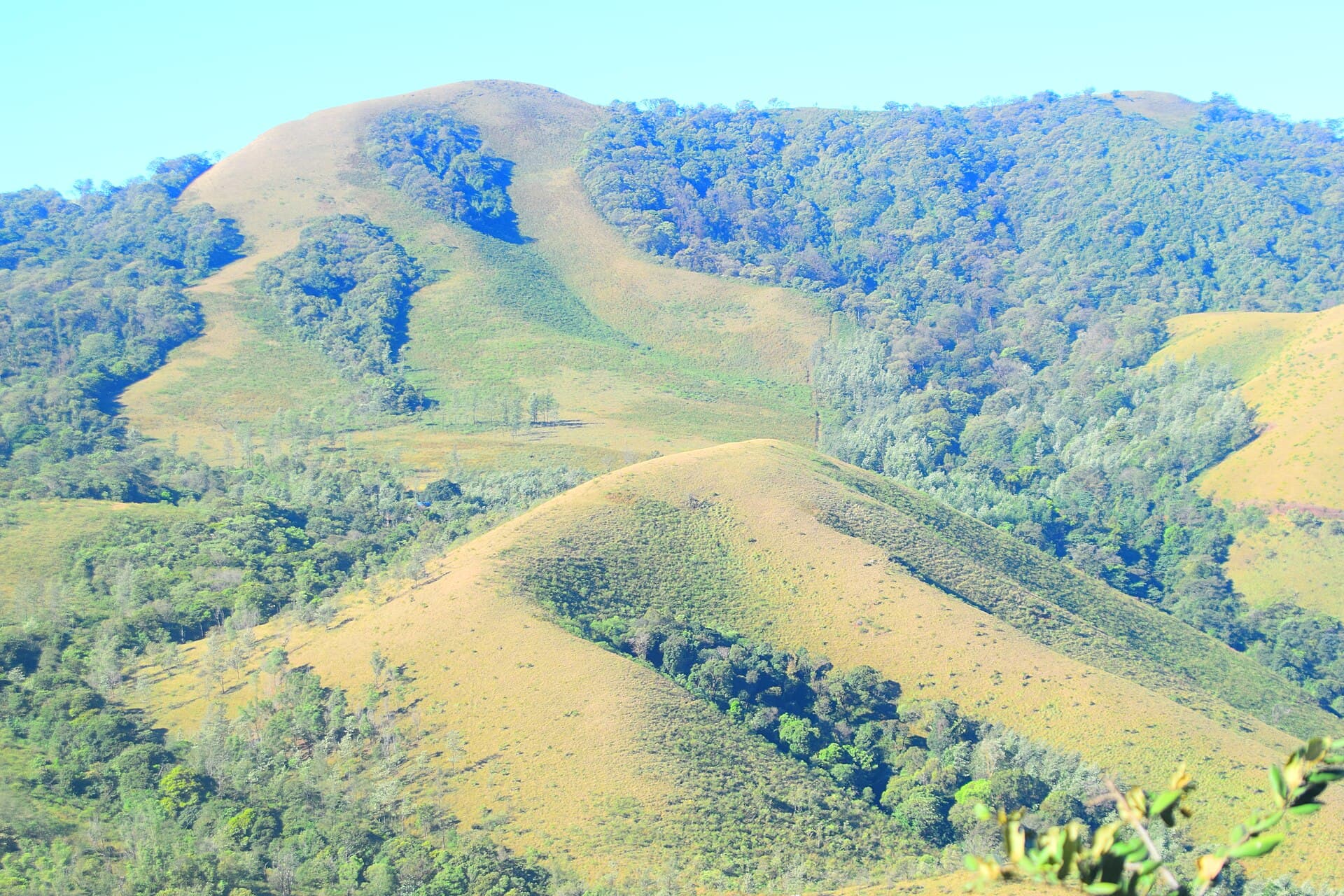 Chikmagalur — representative scenery