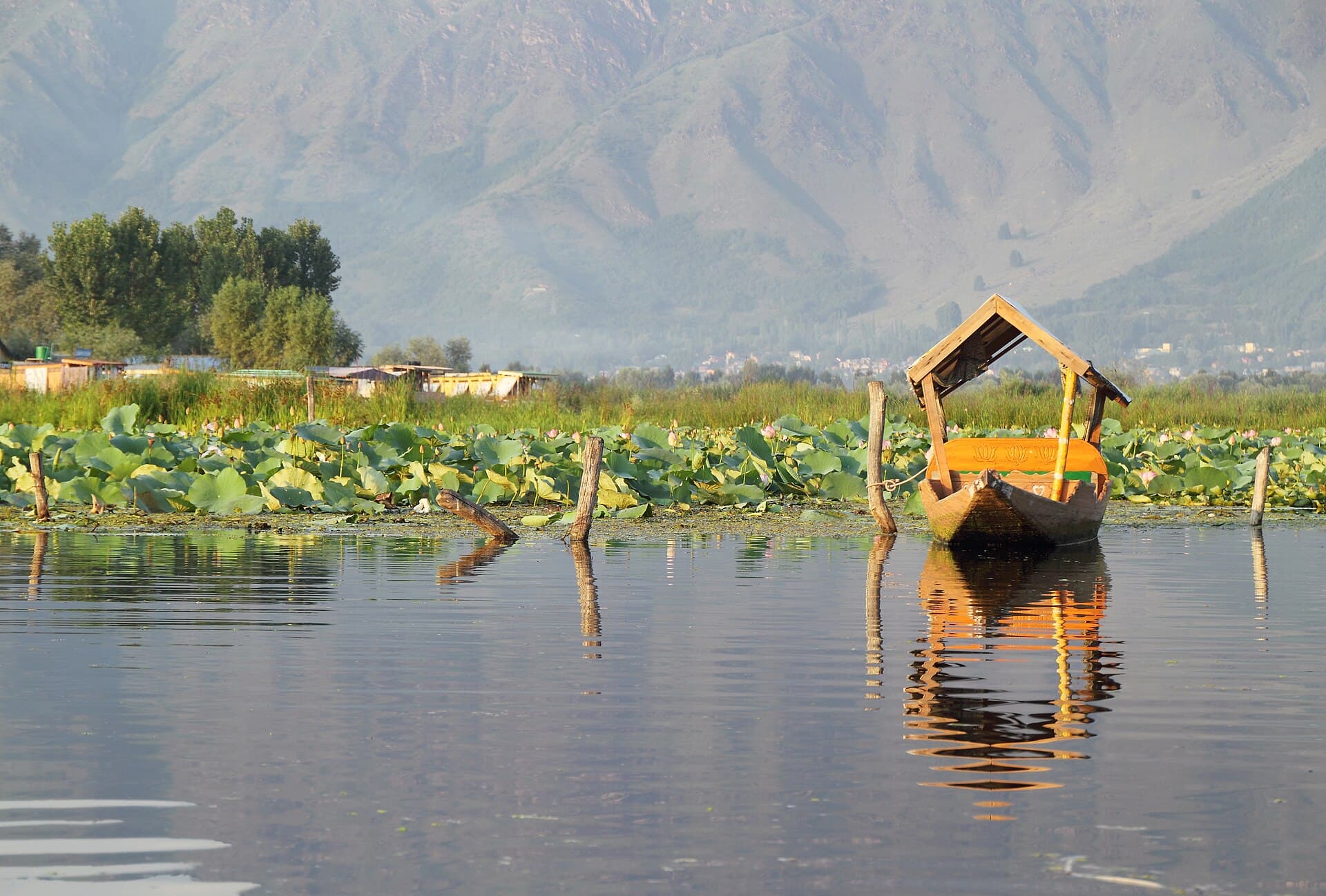 Srinagar — representative scenery