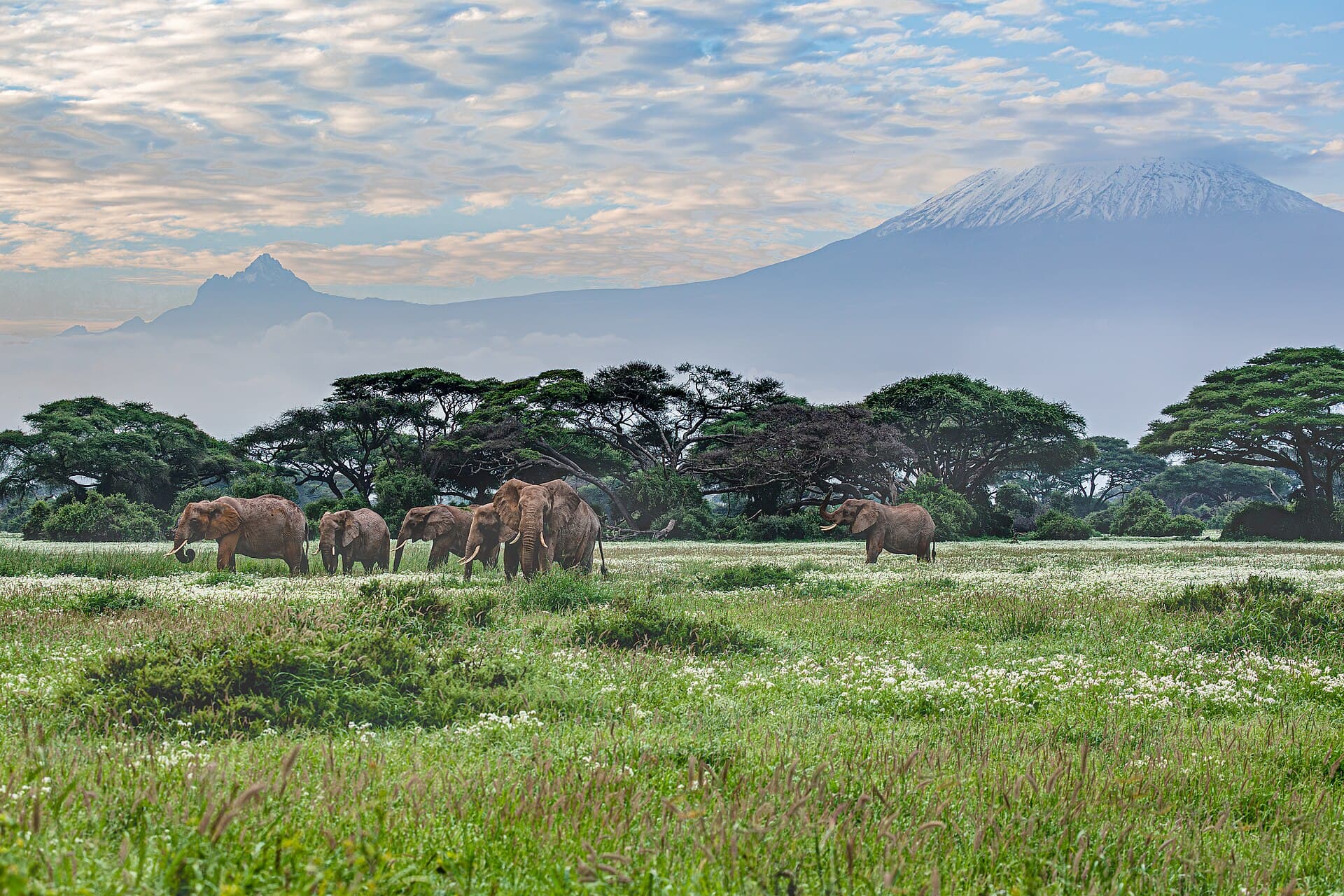 Amboseli — representative scenery