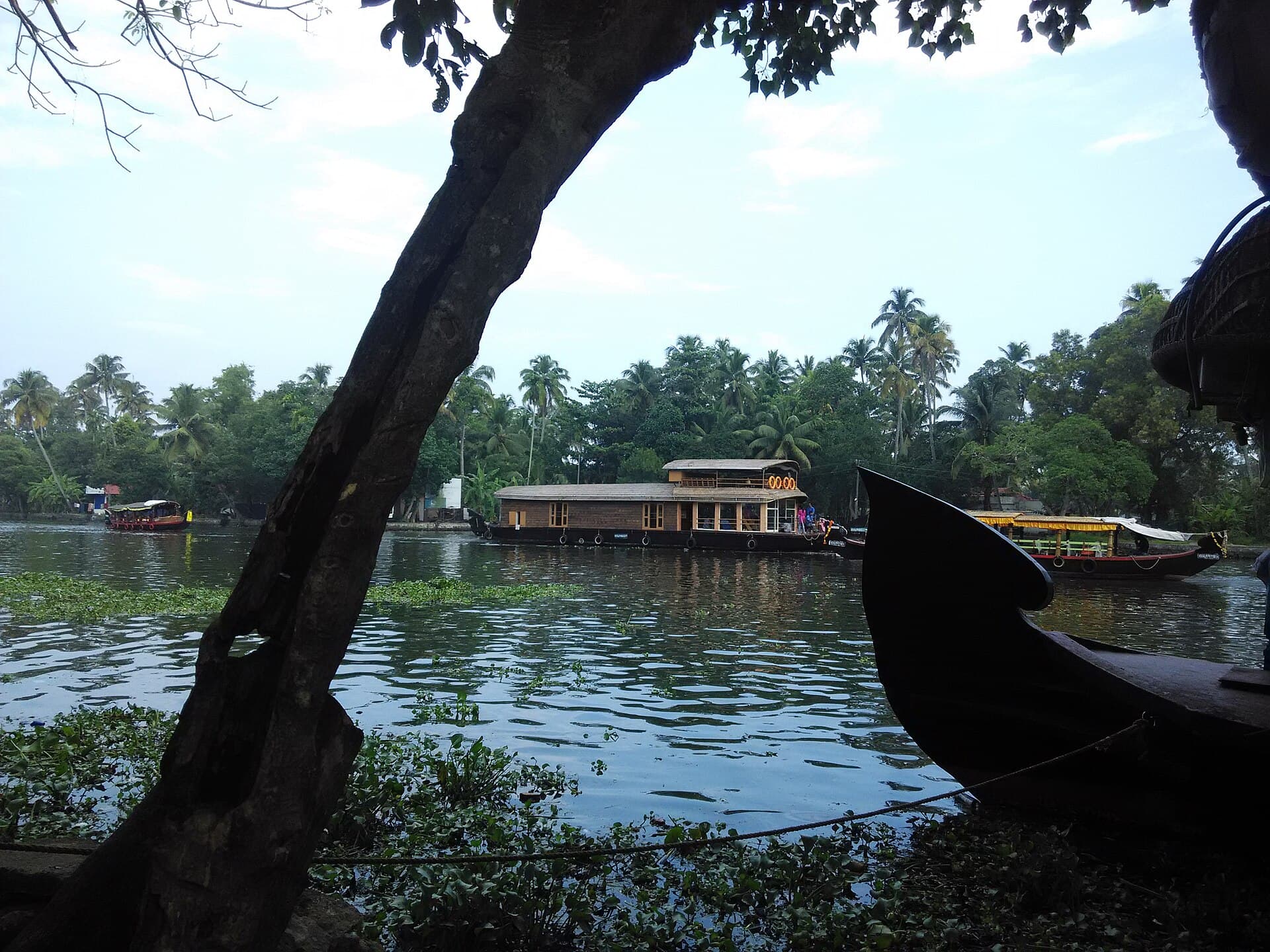 Alleppey — representative scenery
