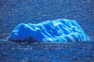Antarctica Group Trip — 11D/10N