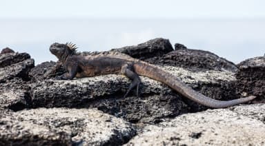 Galapagos Beach Escape — 11D/10N