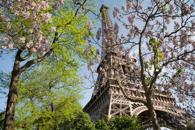 Paris Group Trip — 9D/8N