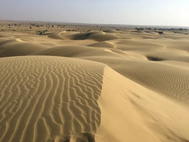 Jaisalmer Desert Camp — 7D/6N — Jaisalmer