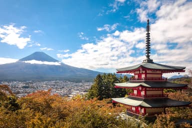 Japan Group Trip — 8D/7N
