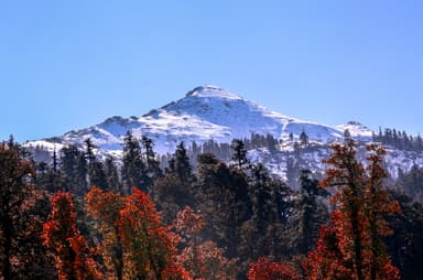 Kedarkantha Trek — 6 Days — Kedarkantha