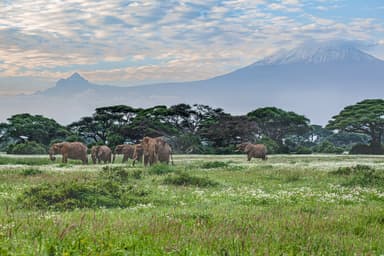 Amboseli Trek — 8 Days