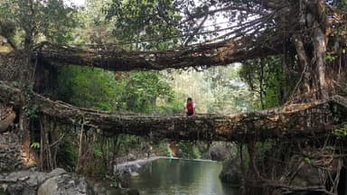 Meghalaya Group Trip — 6D/5N — Meghalaya