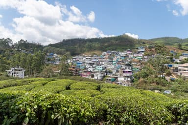Munnar Group Trip — 5D/4N — Munnar