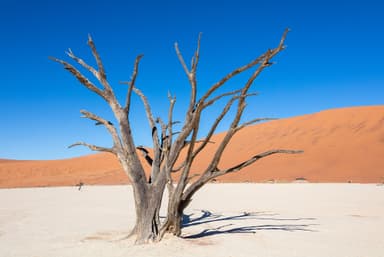Namibia Group Trip — 12D/11N