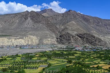 Mustang Group Trip — 4D/3N