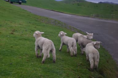 Hobbiton Group Trip — 6D/5N