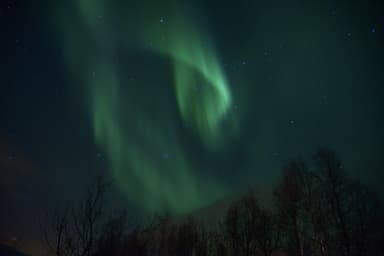Tromso Group Trip — 11D/10N