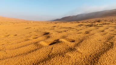 Oman Desert Camp — 8D/7N