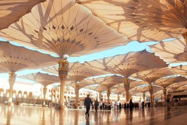 Medina Yatra — 8 Day Darshan Circuit — Medina