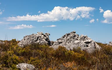 Cape Town Group Trip — 6D/5N