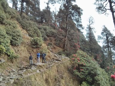 Triund Trek — 3 Days — Triund