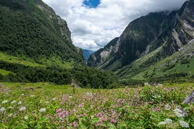 Valley of Flowers Wildlife Safari — 2 Days — Valley of Flowers